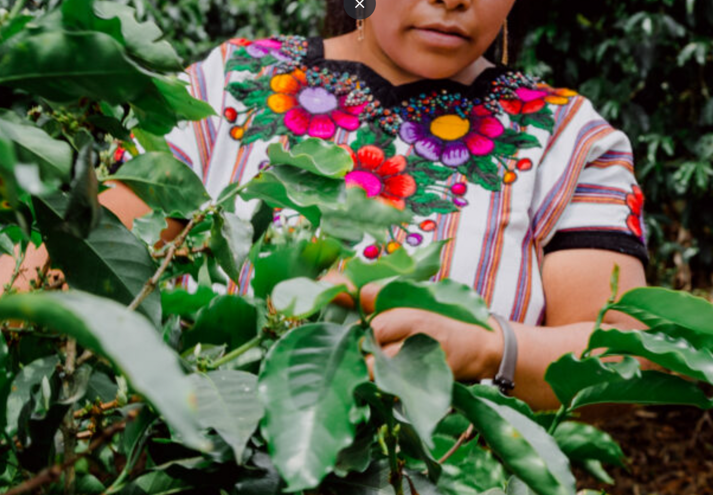 Guatemala Manos de Mujer