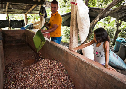 Magia del Campo Decaf